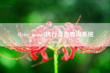 郴州执行公告查询系统
