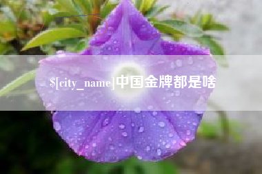 郴州中国金牌都是啥