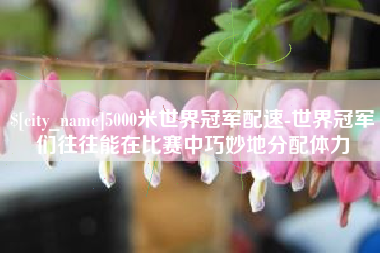 郴州5000米世界冠军配速-世界冠军们往往能在比赛中巧妙地分配体力