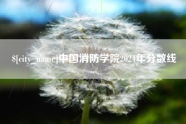郴州中国消防学院2024年分数线