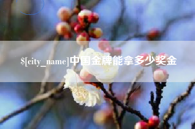 郴州中国金牌能拿多少奖金