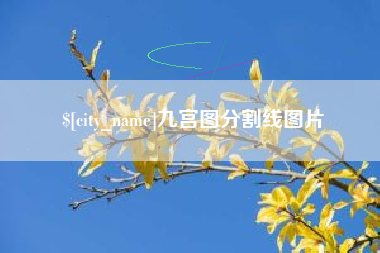 郴州九宫图分割线图片