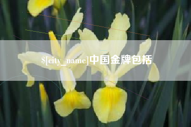 郴州中国金牌包括