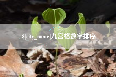 郴州九宫格数字排序