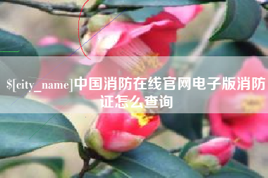 郴州中国消防在线官网电子版消防证怎么查询