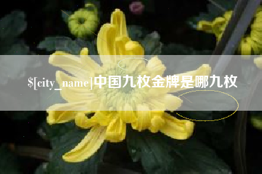 郴州中国九枚金牌是哪九枚