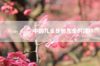 郴州中国九金是哪九金的简称