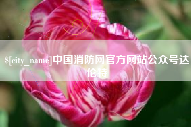 郴州中国消防网官方网站公众号达伦特