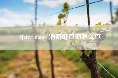 郴州消防证查询怎么查