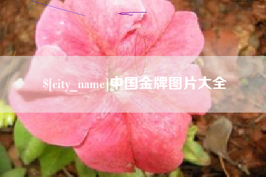 郴州中国金牌图片大全