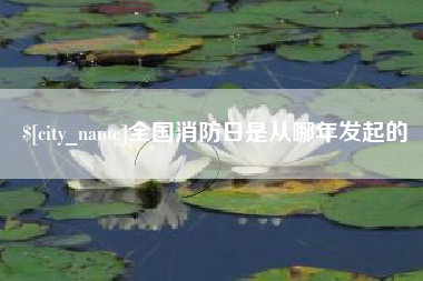 郴州全国消防日是从哪年发起的