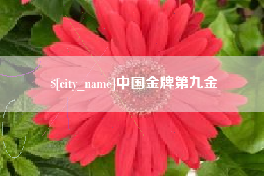 郴州中国金牌第九金