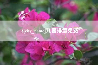 郴州九宫排盘免费