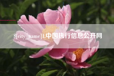 郴州1.中国执行信息公开网