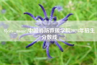 郴州中国消防救援学院2024年招生分数线