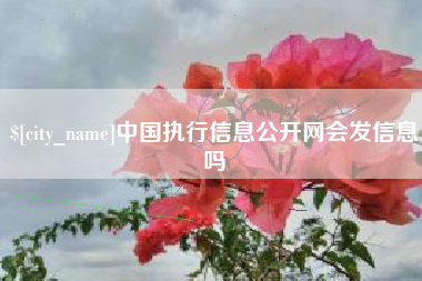 郴州中国执行信息公开网会发信息吗