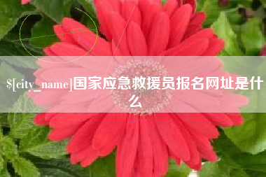郴州国家应急救援员报名网址是什么
