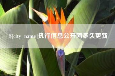 郴州执行信息公开网多久更新