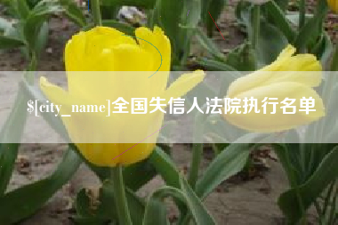郴州全国失信人法院执行名单