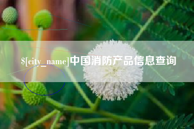 郴州中国消防产品信息查询