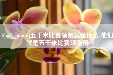 郴州五千米比赛领跑员是什么-他们就是五千米比赛领跑员