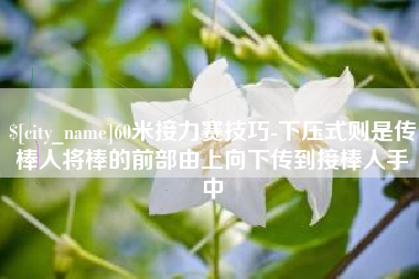 郴州60米接力赛技巧-下压式则是传棒人将棒的前部由上向下传到接棒人手中