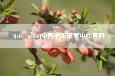 郴州中国消防报考中心官网