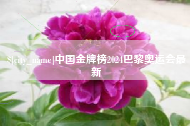 郴州中国金牌榜2024巴黎奥运会最新