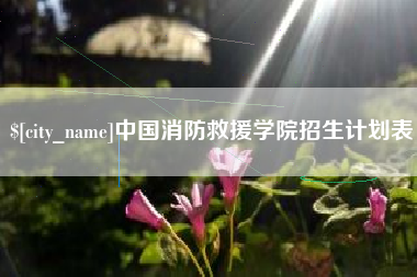 郴州中国消防救援学院招生计划表