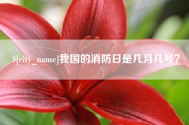 郴州我国的消防日是几月几号？