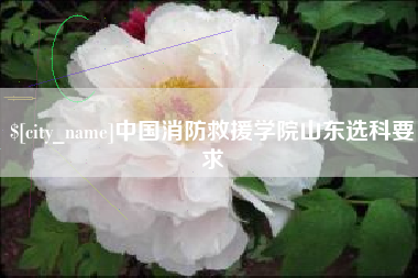 郴州中国消防救援学院山东选科要求