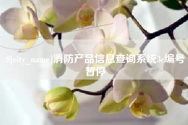 郴州消防产品信息查询系统3c编号暂停