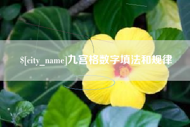 郴州九宫格数字填法和规律