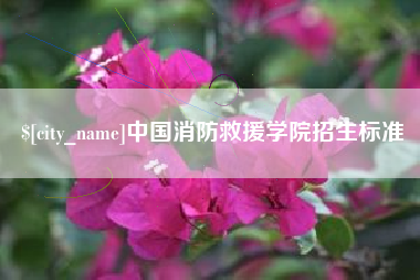 郴州中国消防救援学院招生标准