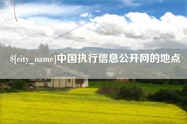 郴州中国执行信息公开网的地点
