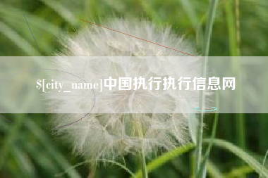 郴州中国执行执行信息网