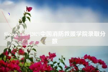 郴州2021中国消防救援学院录取分数