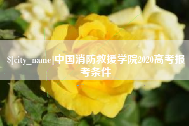 郴州中国消防救援学院2020高考报考条件