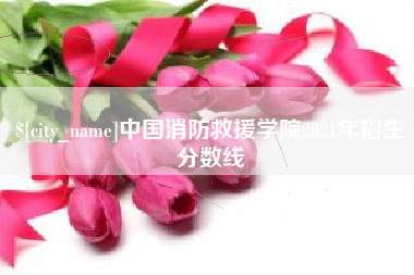 郴州中国消防救援学院2021年招生分数线