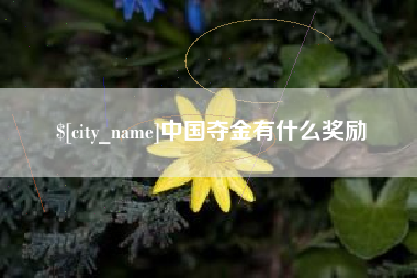 郴州中国夺金有什么奖励