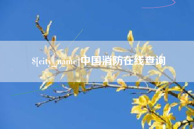 郴州中国消防在线查询