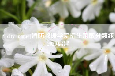 郴州消防救援学院招生录取分数线2020福建
