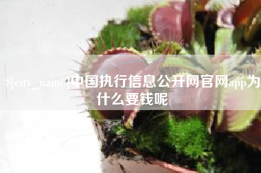 郴州中国执行信息公开网官网app为什么要钱呢