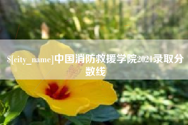 郴州中国消防救援学院2021录取分数线
