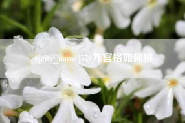 郴州579九宫格如何排