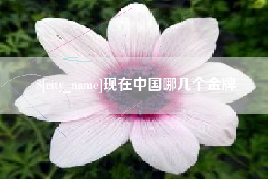 郴州现在中国哪几个金牌