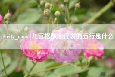 郴州九宫格数字代表的五行是什么