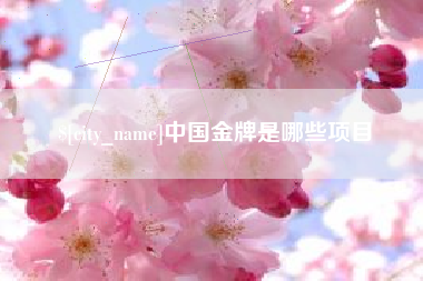 郴州中国金牌是哪些项目