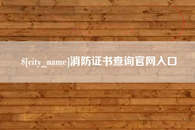 郴州消防证书查询官网入口
