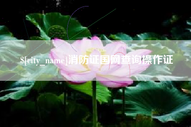 郴州消防证国网查询操作证